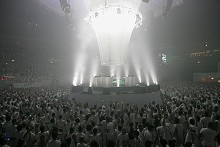 SENSATION WHITE